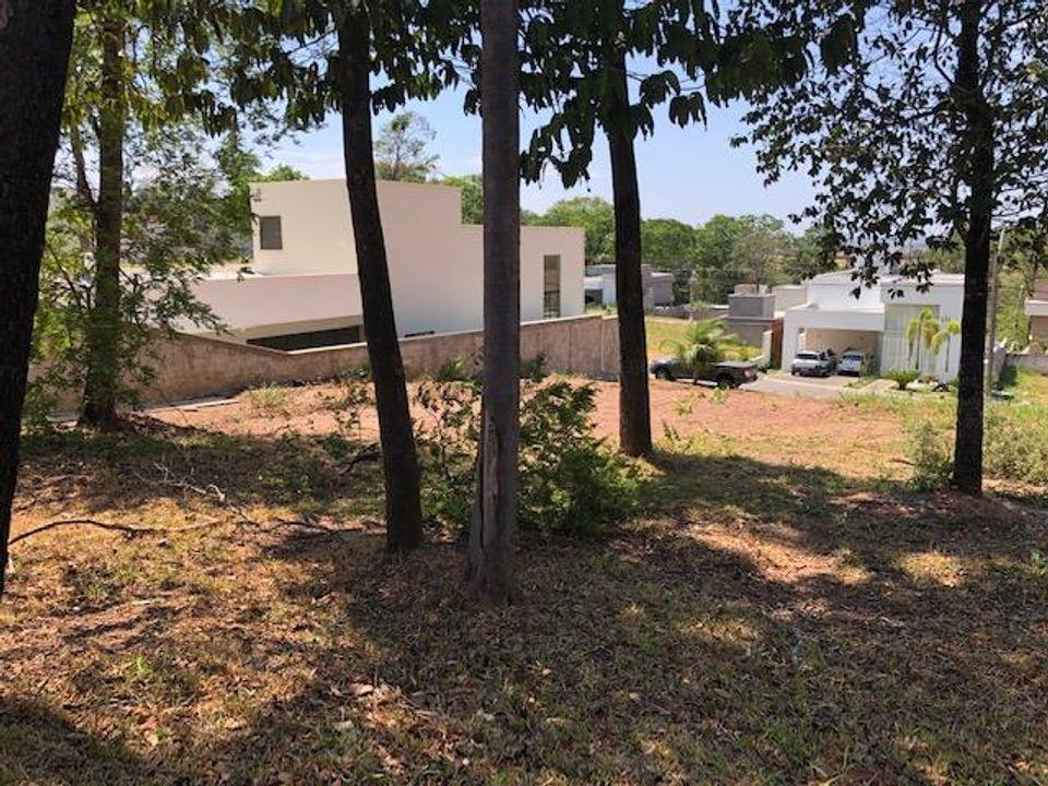 Terreno, 396 m² - Foto 4