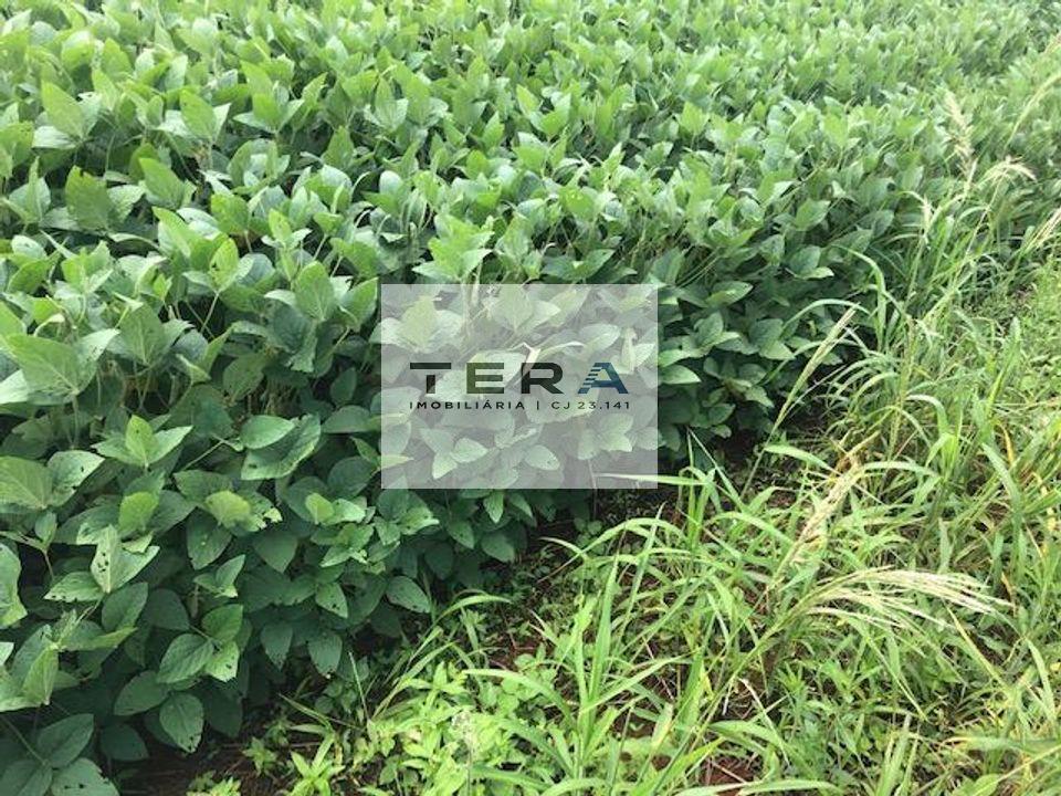 Fazenda à venda, 11m² - Foto 3