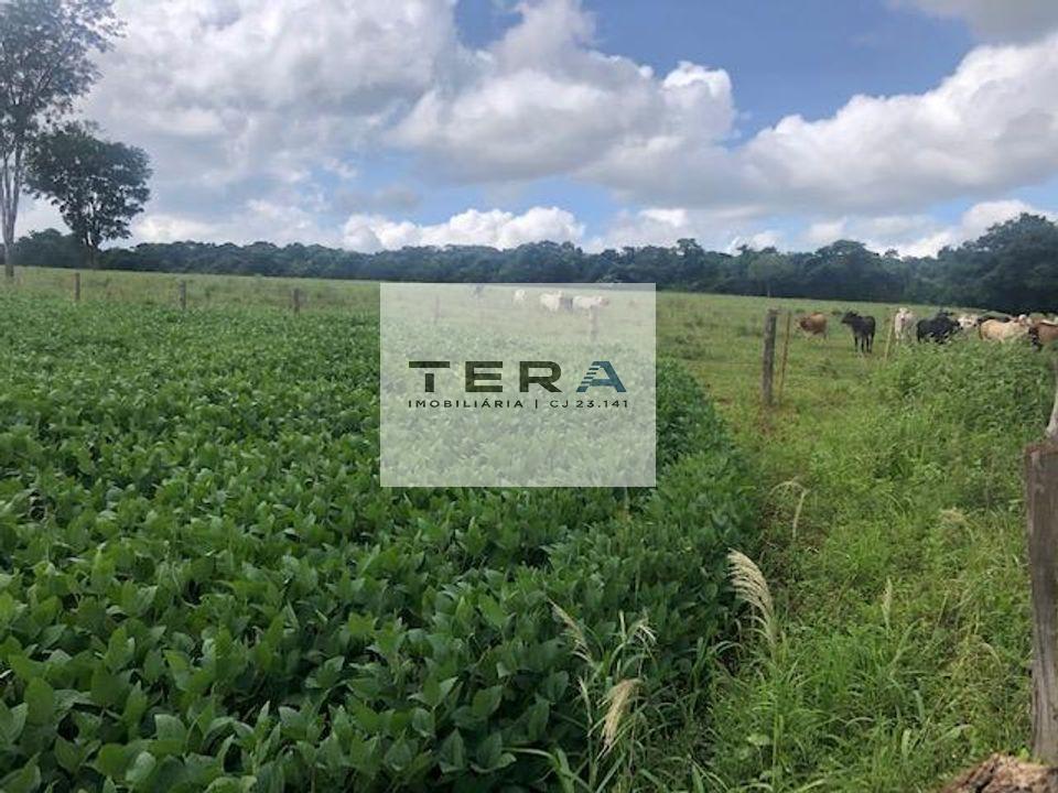 Fazenda à venda, 11m² - Foto 4