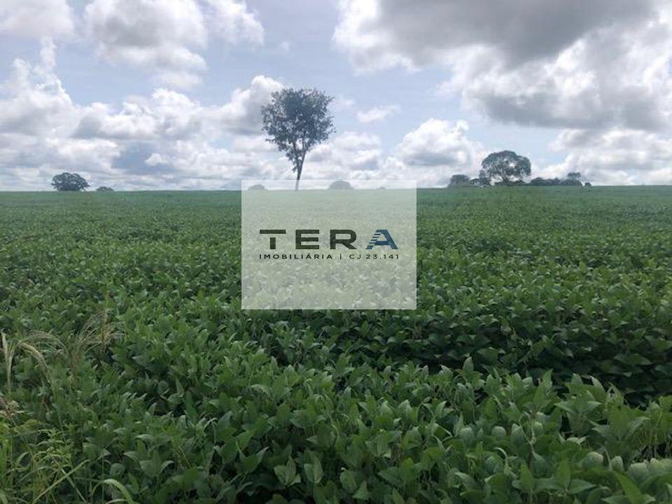Fazenda à venda, 11m² - Foto 5