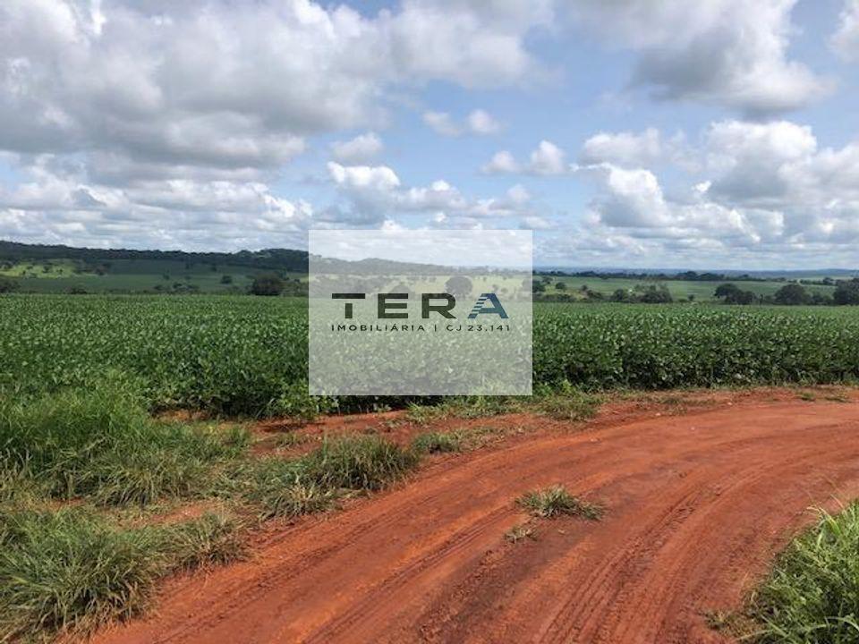 Fazenda à venda, 11m² - Foto 1