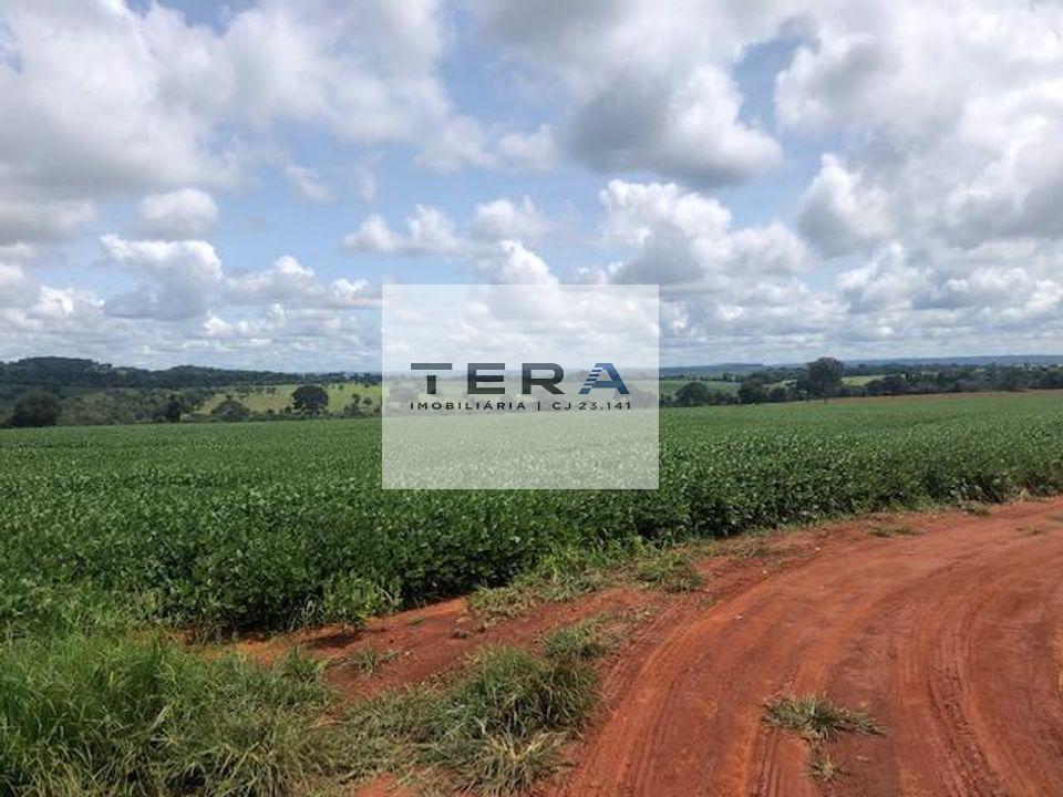 Fazenda à venda, 11m² - Foto 6
