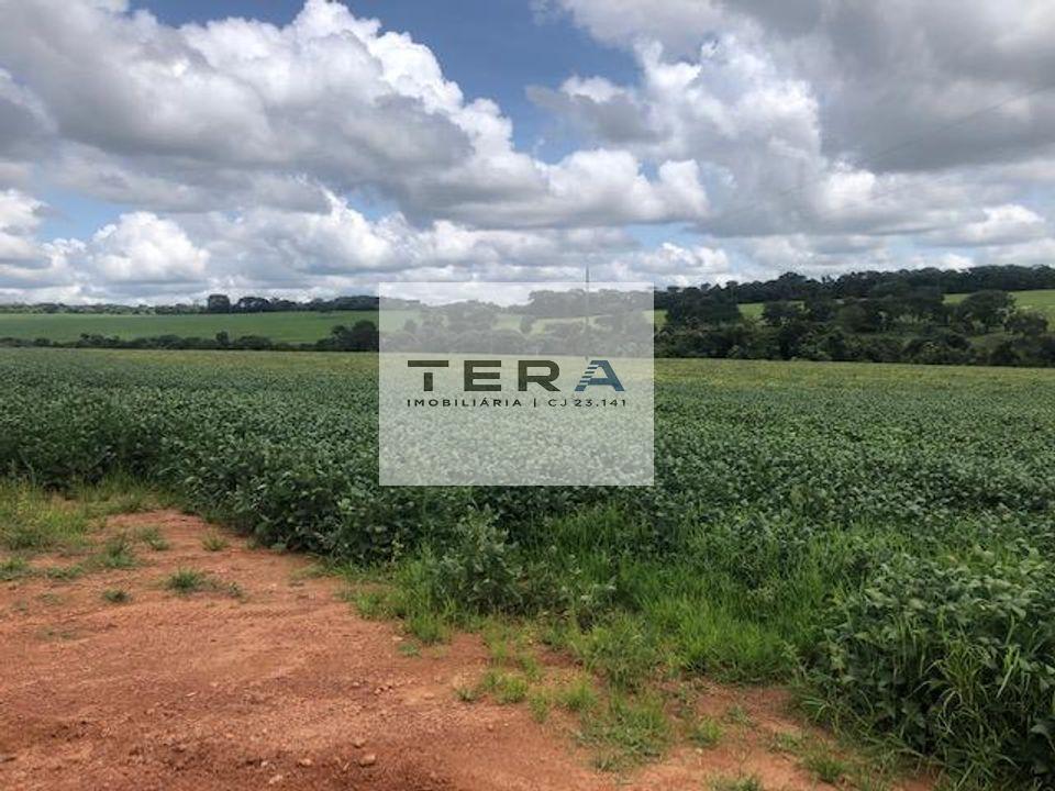 Fazenda à venda, 11m² - Foto 8