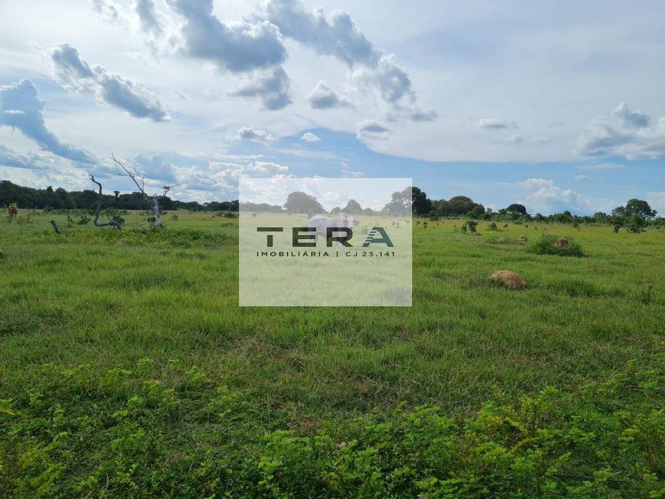 Fazenda à venda, 4590000m² - Foto 4