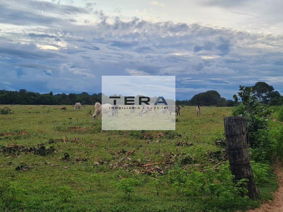 Fazenda à venda, 4590000m² - Foto 6