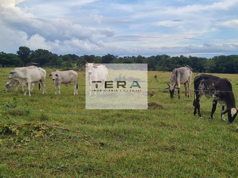 Fazenda à venda, 4590000m² - Foto 7