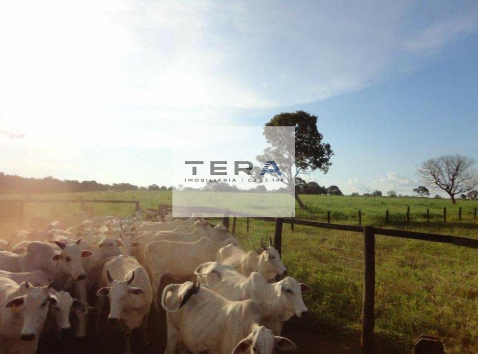 Fazenda à venda, 4590000m² - Foto 12