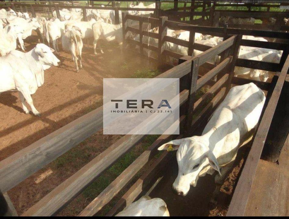Fazenda à venda, 4590000m² - Foto 13
