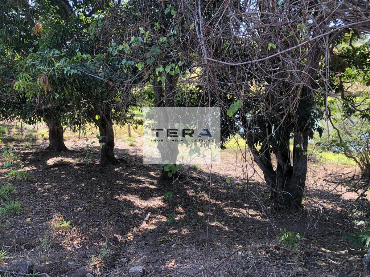 Fazenda à venda, 338800m² - Foto 14