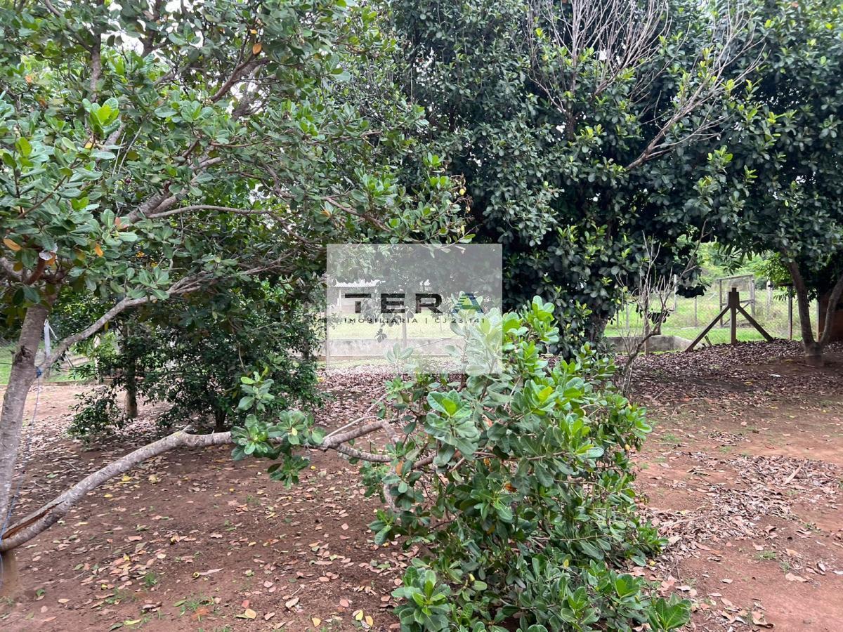 Chácara à venda com 4 quartos, 55000m² - Foto 4