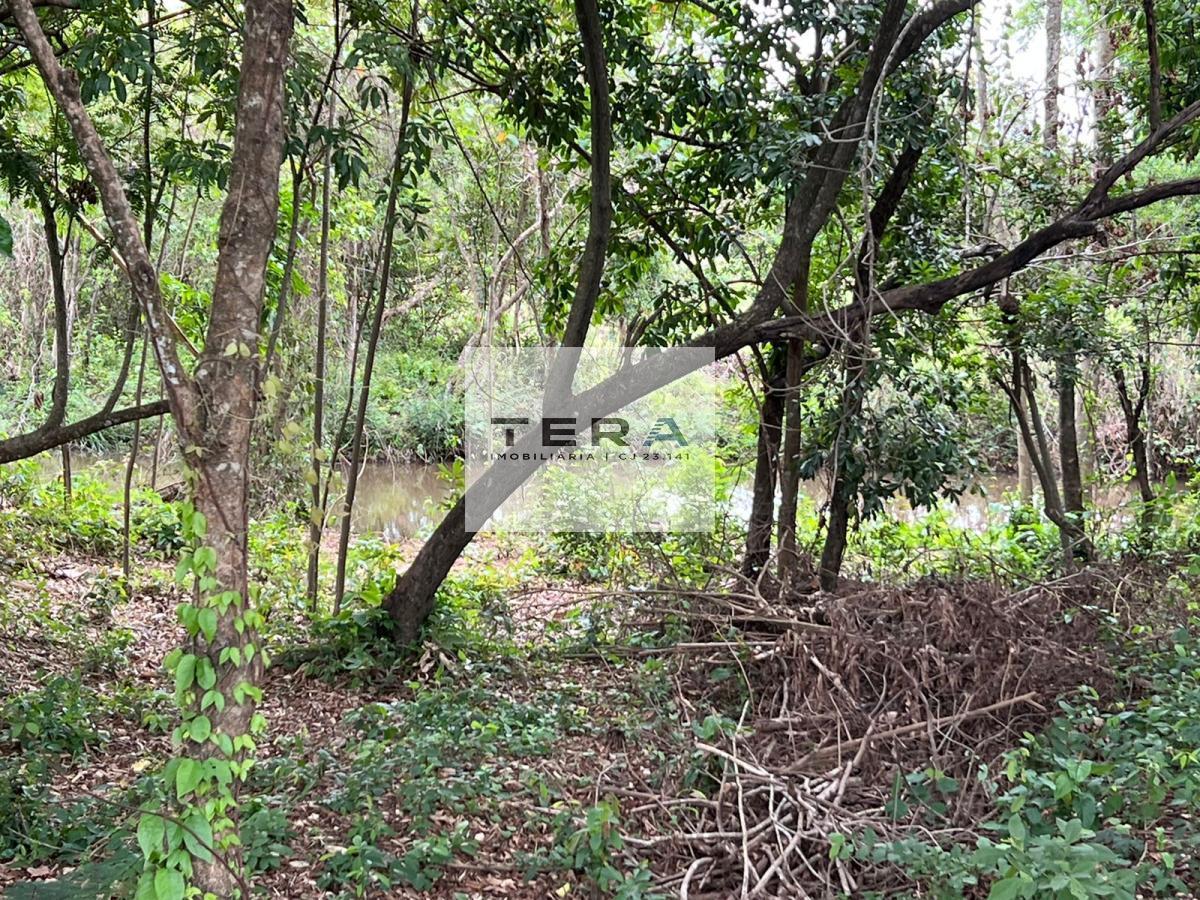 Chácara à venda com 4 quartos, 55000m² - Foto 5