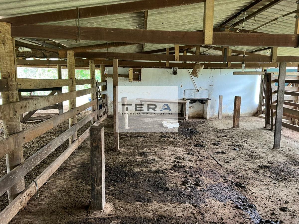 Chácara à venda com 4 quartos, 55000m² - Foto 6