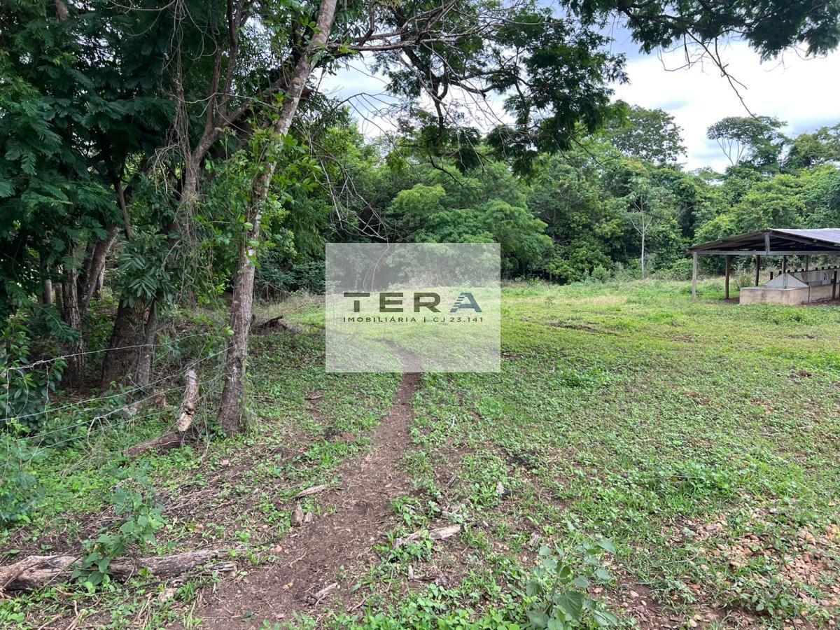 Chácara à venda com 4 quartos, 55000m² - Foto 8
