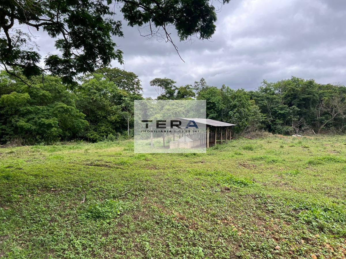 Chácara à venda com 4 quartos, 55000m² - Foto 10