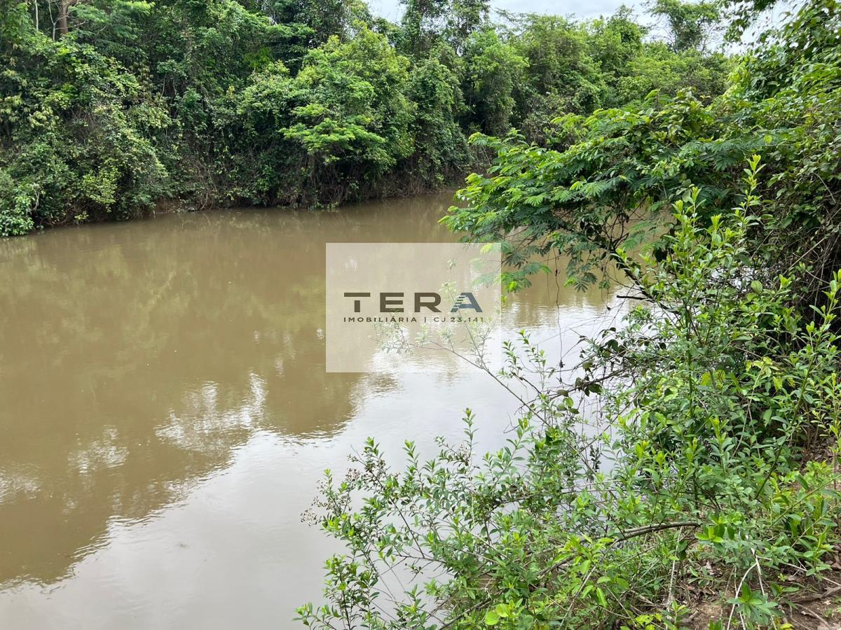 Chácara à venda com 4 quartos, 55000m² - Foto 11