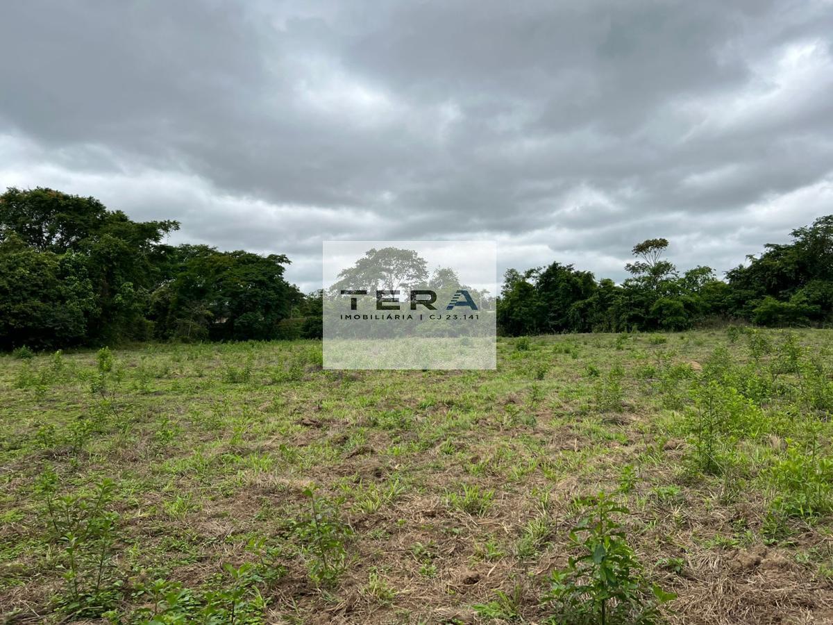 Chácara à venda com 4 quartos, 55000m² - Foto 12