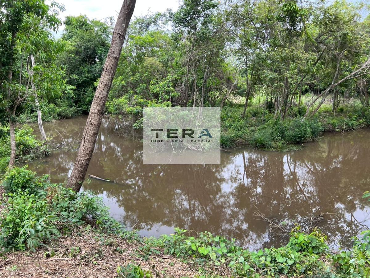 Chácara à venda com 4 quartos, 55000m² - Foto 14