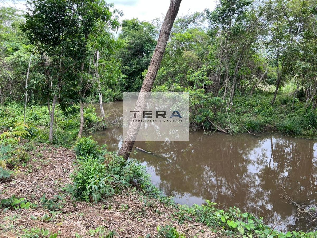 Chácara à venda com 4 quartos, 55000m² - Foto 15
