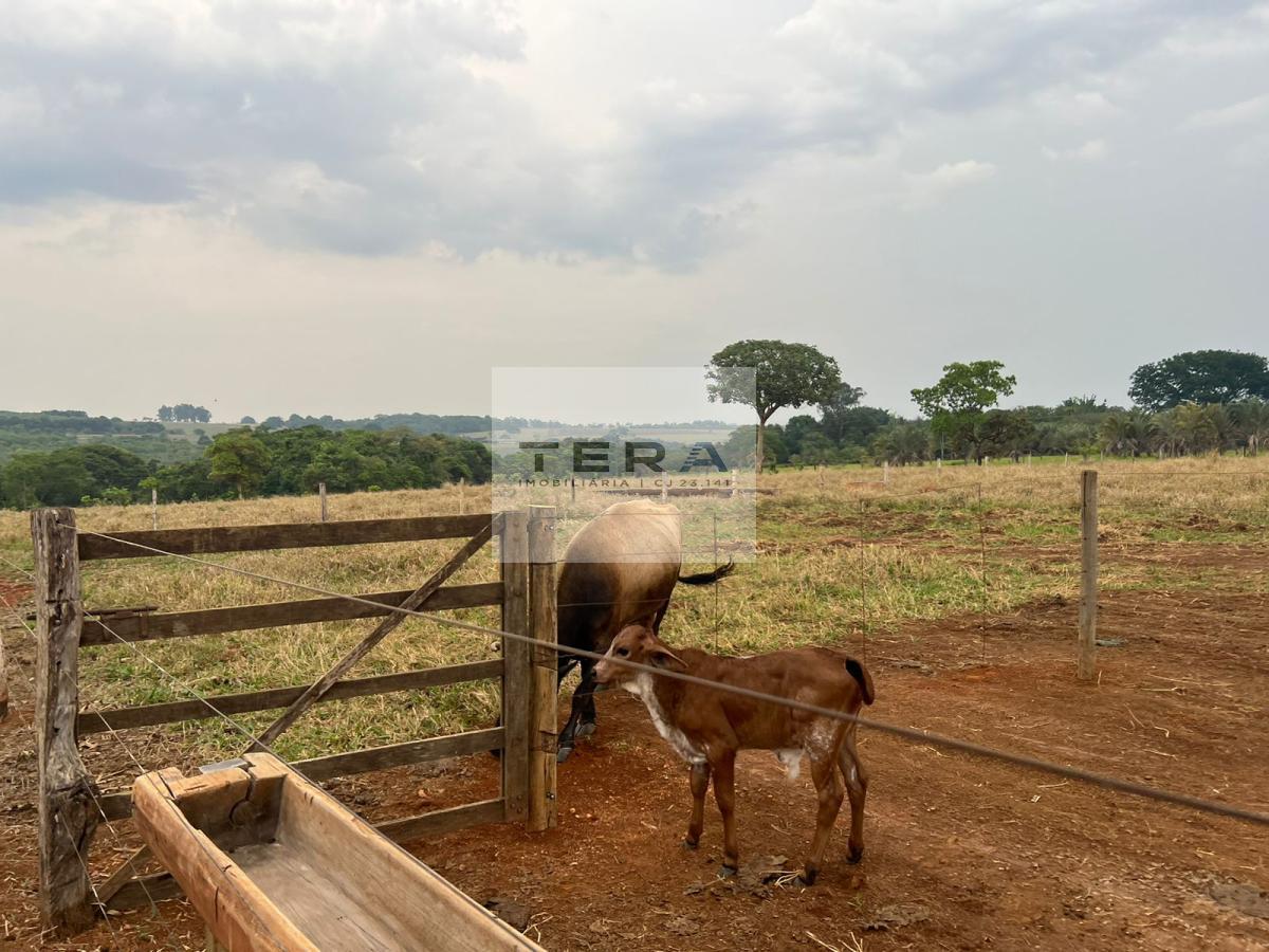 Chácara à venda, 40000m² - Foto 2