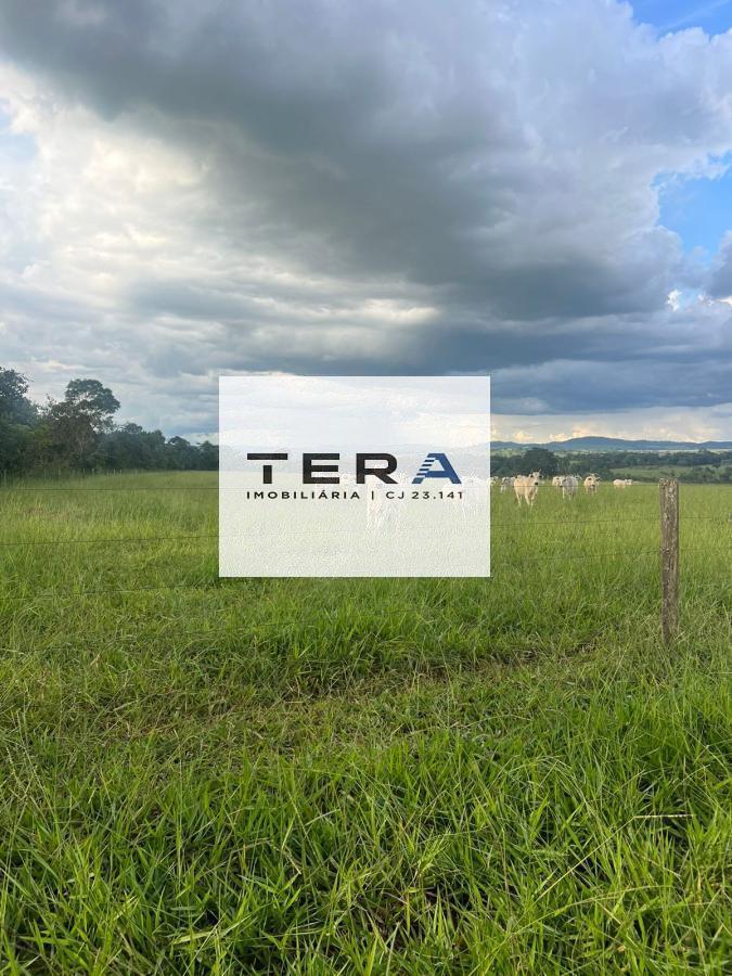 Fazenda à venda, 1150000m² - Foto 3