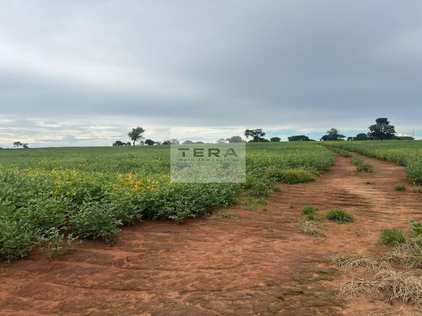 Terreno à venda, 140000m² - Foto 2