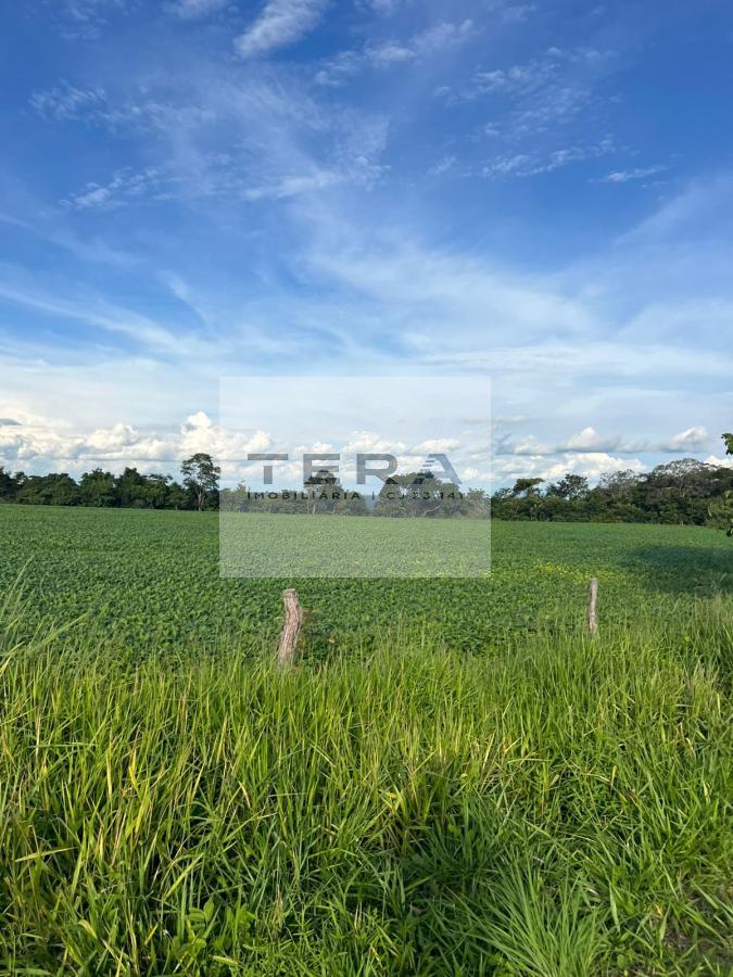 Terreno à venda, 140000m² - Foto 7
