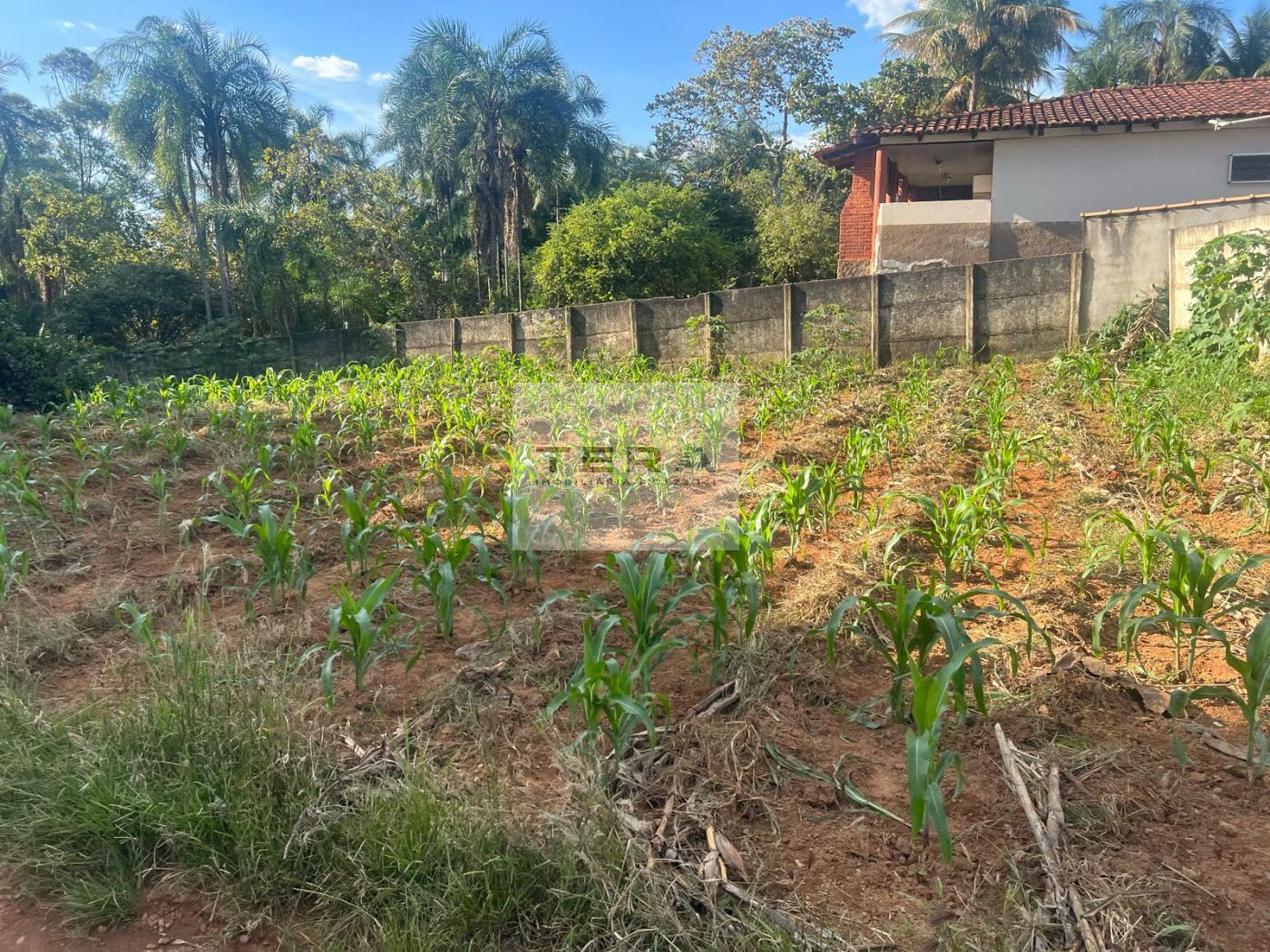 Terreno à venda, 3581m² - Foto 3