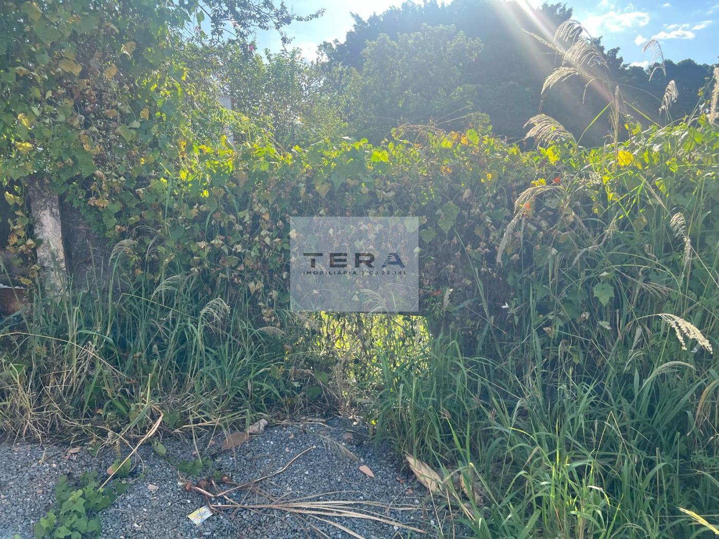 Terreno à venda, 3581m² - Foto 6