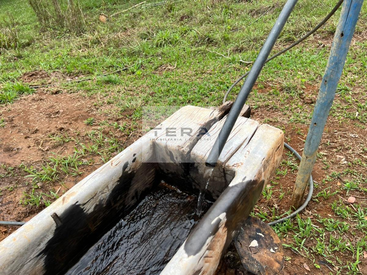 Chácara, 2 hectares - Foto 5