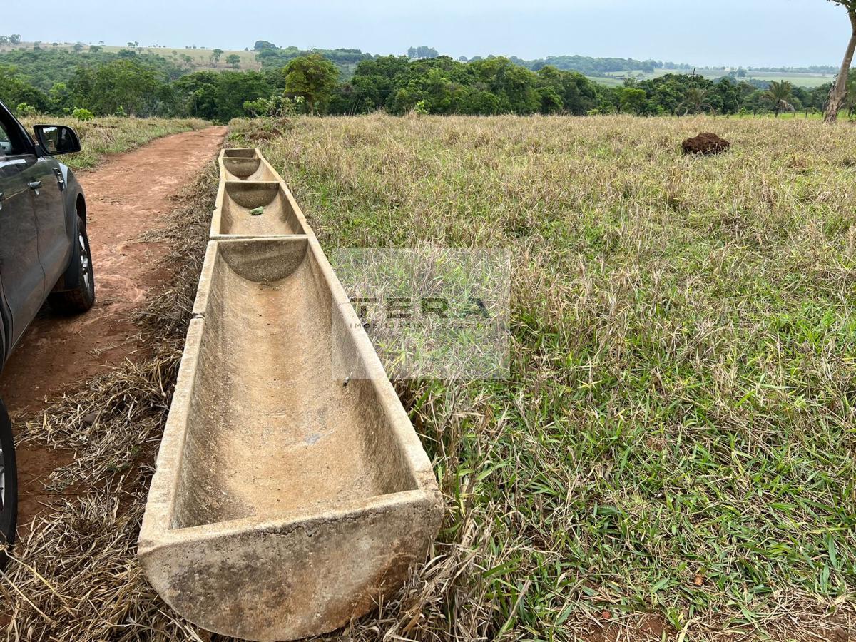 Chácara, 2 hectares - Foto 2