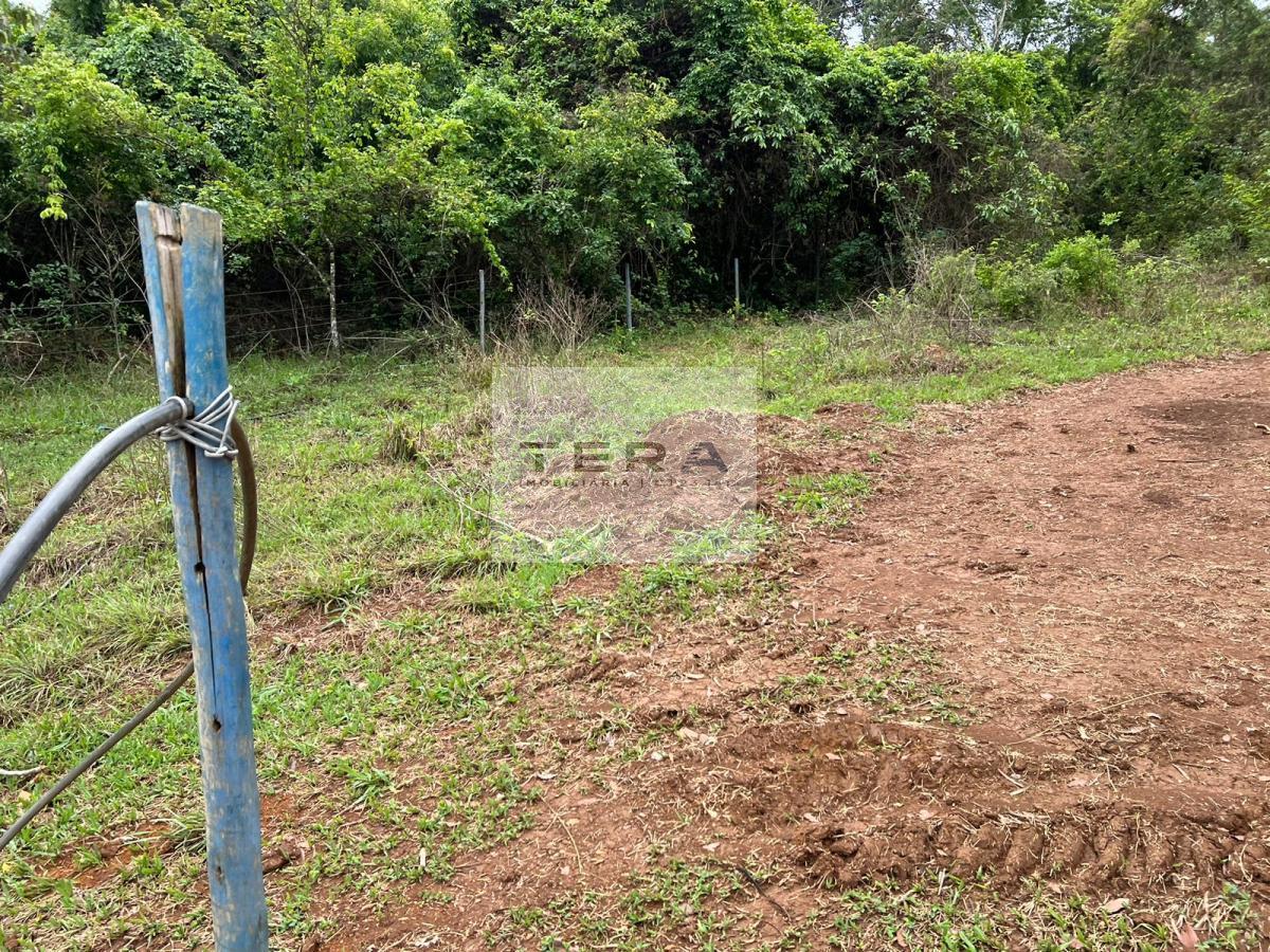 Chácara, 2 hectares - Foto 6