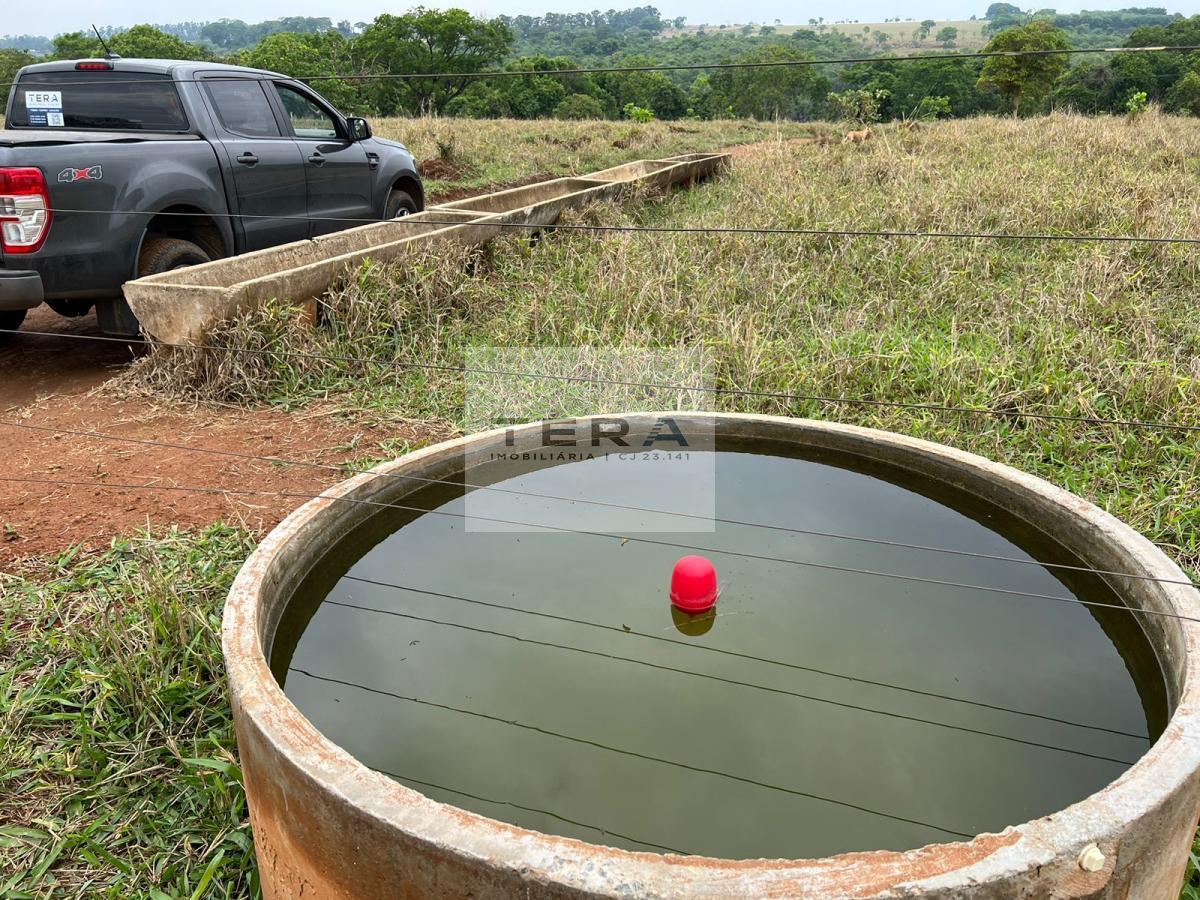 Chácara, 2 hectares - Foto 3