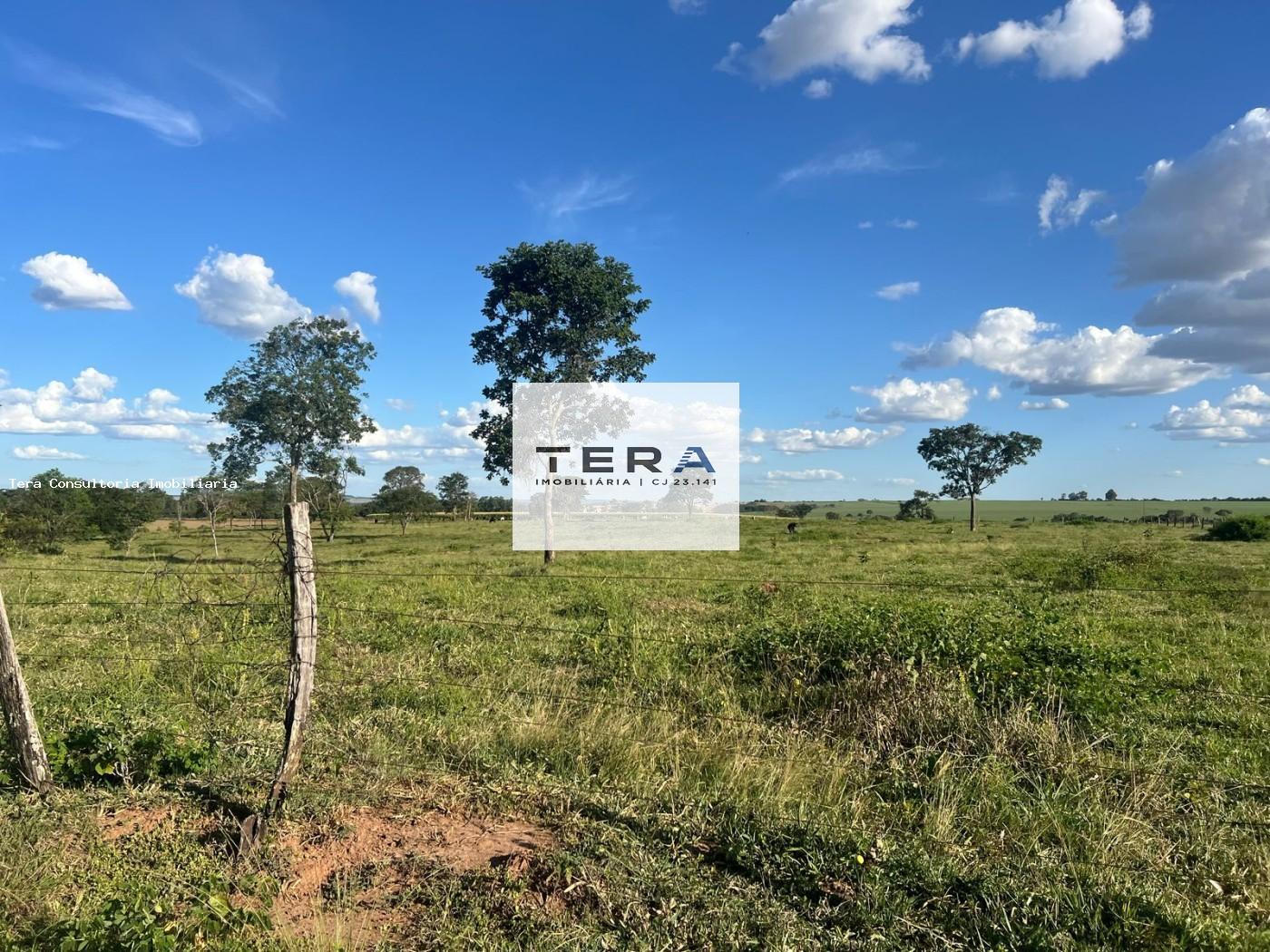 Fazenda à venda, 480000m² - Foto 11
