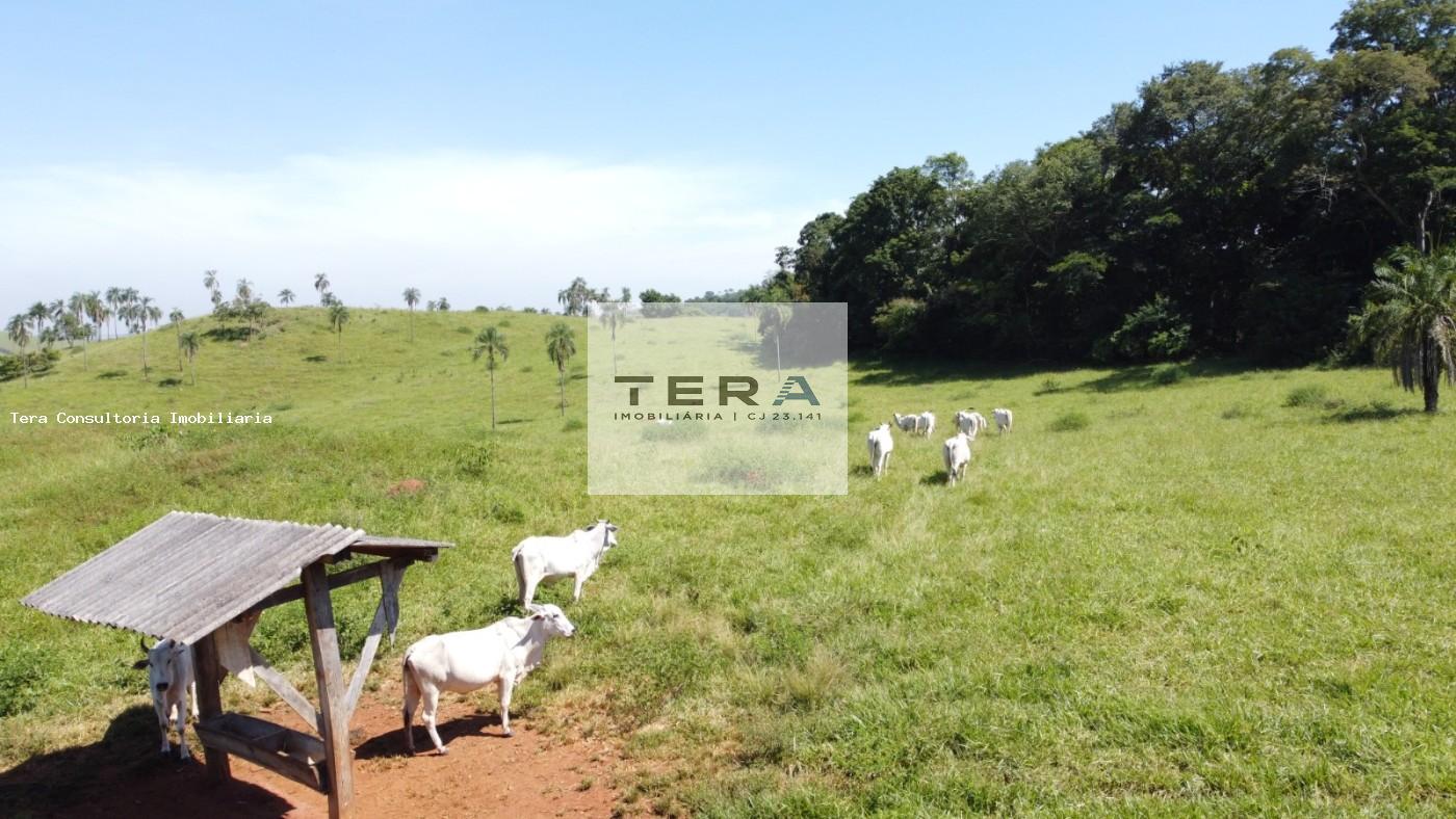 Chácara à venda, 870000m² - Foto 5