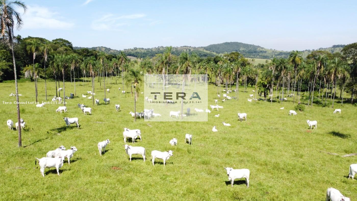 Chácara à venda, 870000m² - Foto 1