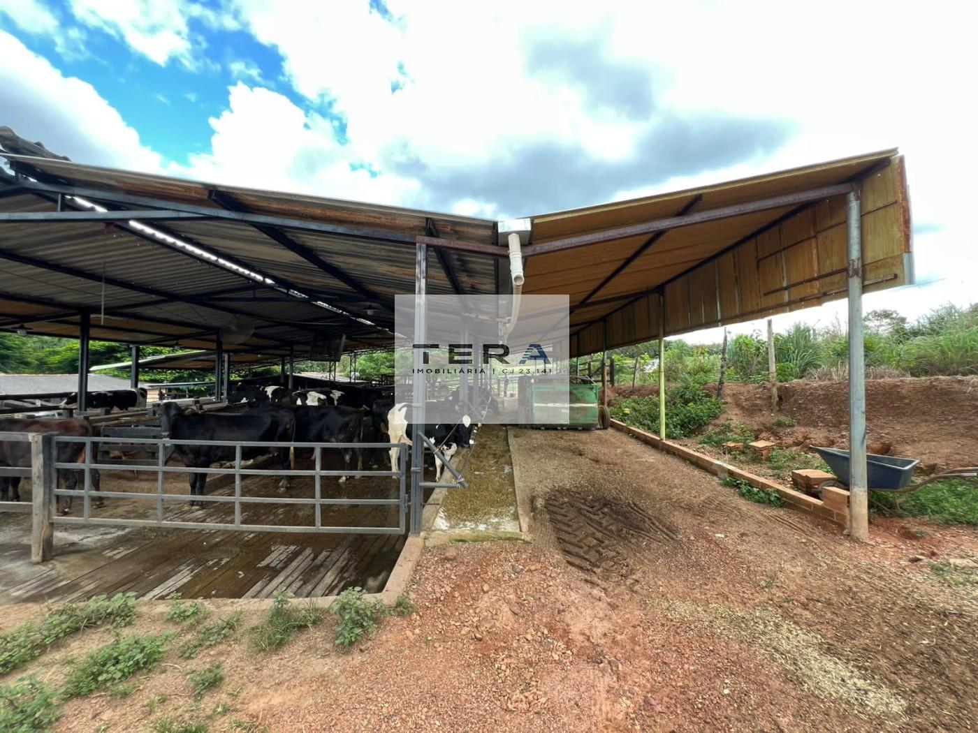 Sítio à venda, 260000m² - Foto 10