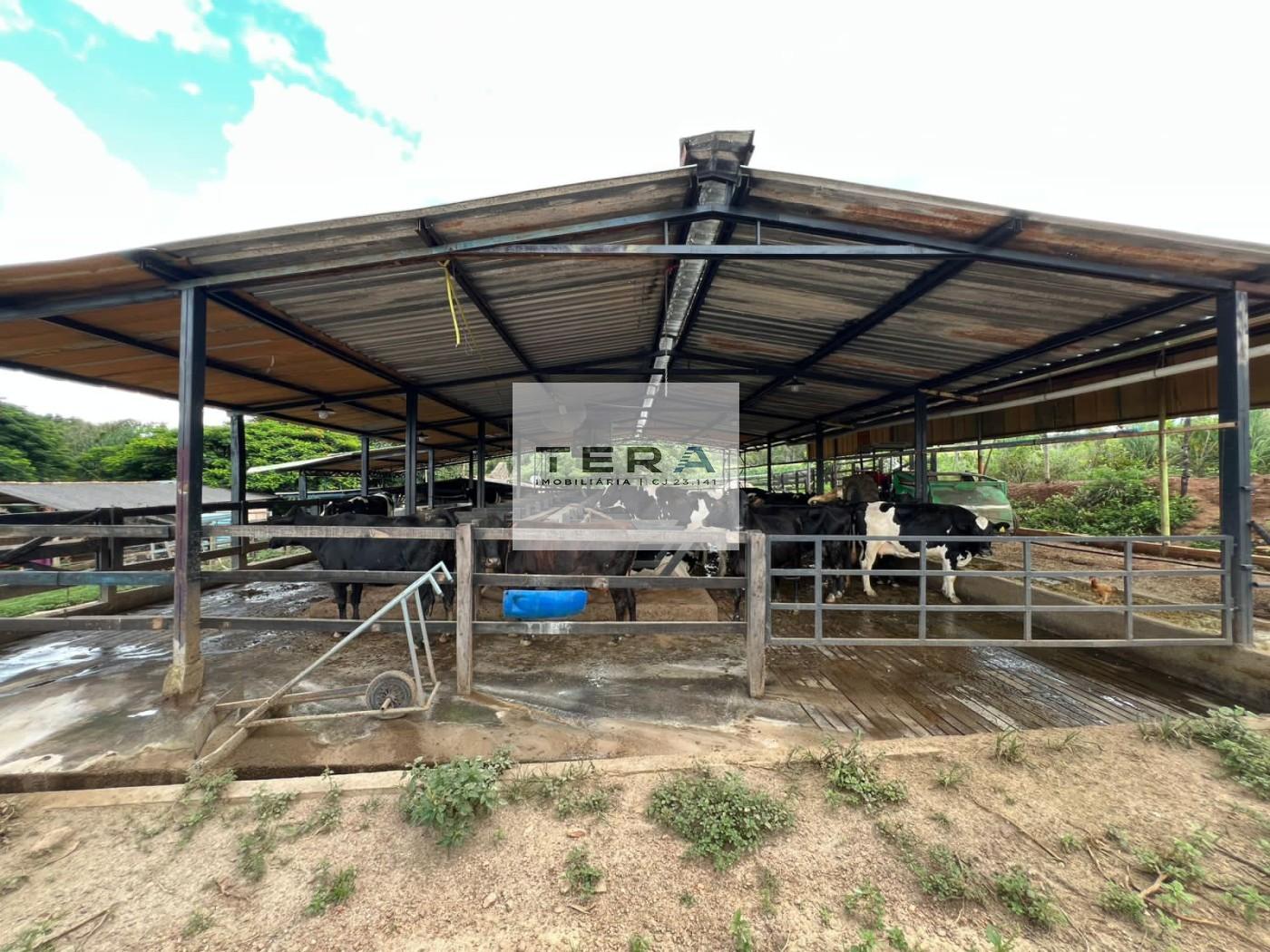 Sítio à venda, 260000m² - Foto 11