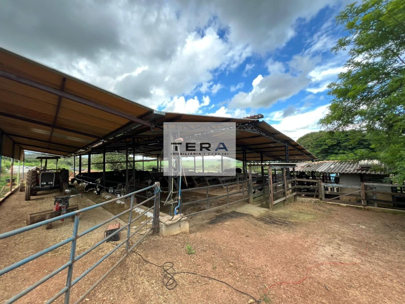 Sítio à venda, 260000m² - Foto 12
