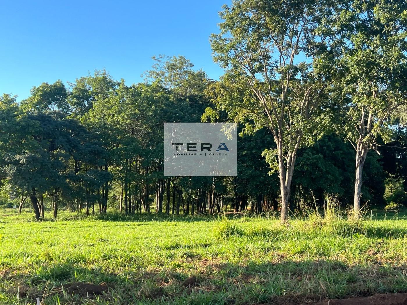 Terreno, 595 m² - Foto 6