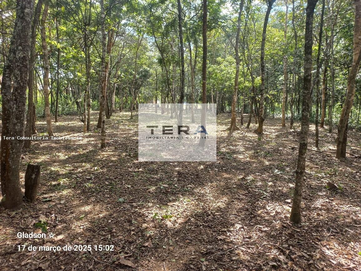 Terreno, 1890 m² - Foto 5