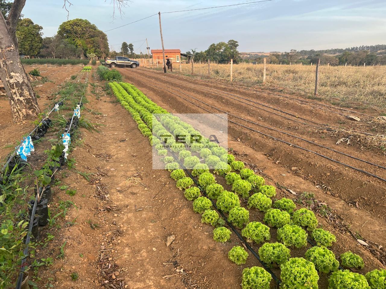 Terreno para alugar, 670m² - Foto 1