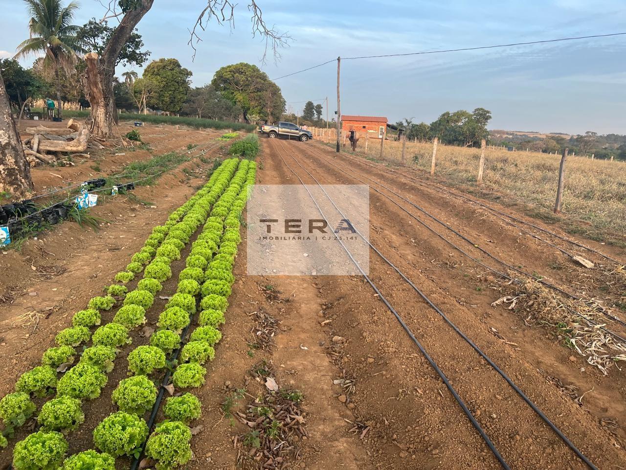 Terreno para alugar, 670m² - Foto 2