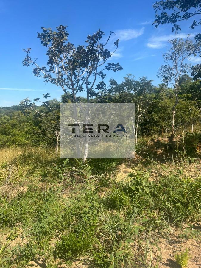 Terreno à venda, 3000m² - Foto 2