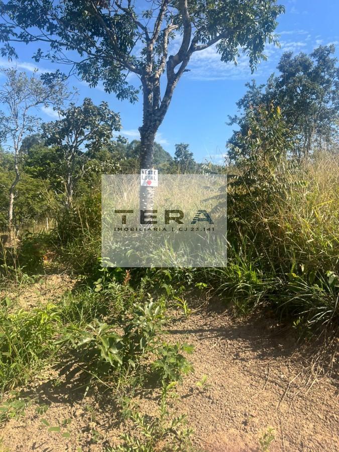 Terreno à venda, 3000m² - Foto 4