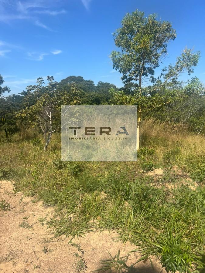 Terreno à venda, 3000m² - Foto 5