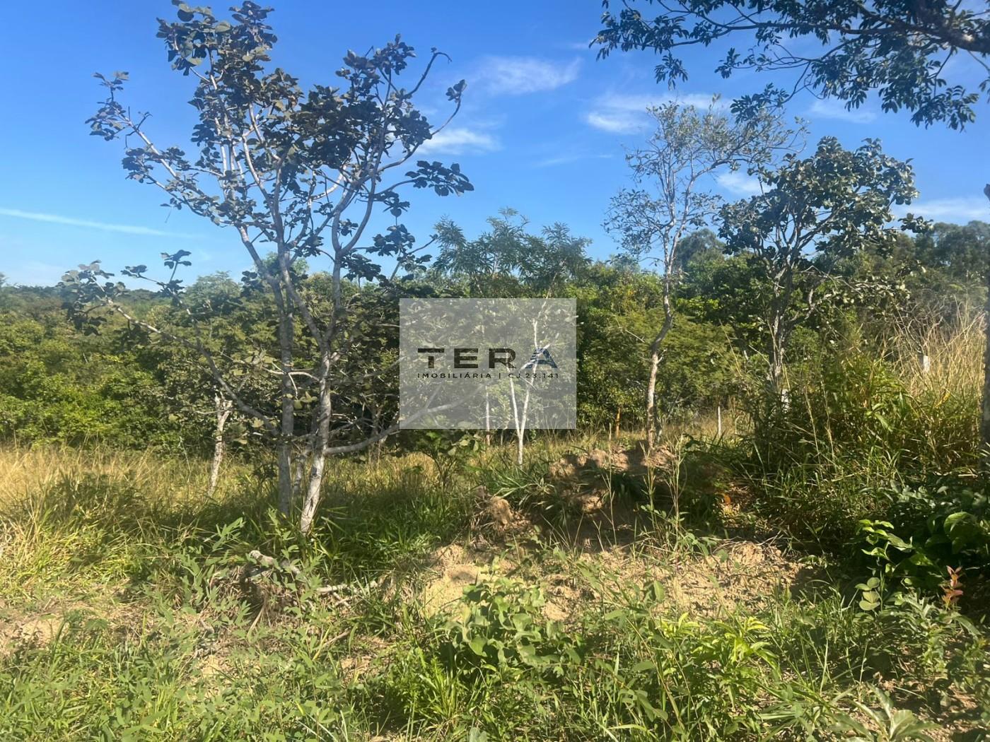 Terreno à venda, 3000m² - Foto 6