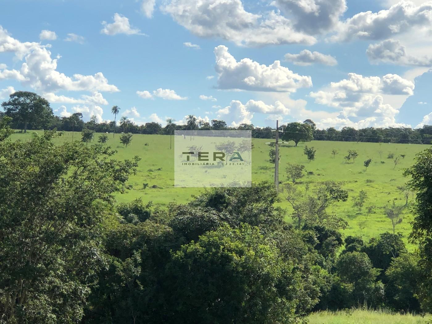 Fazenda à venda, 1150000m² - Foto 7