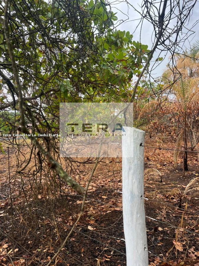 Chácara, 1 hectares - Foto 1