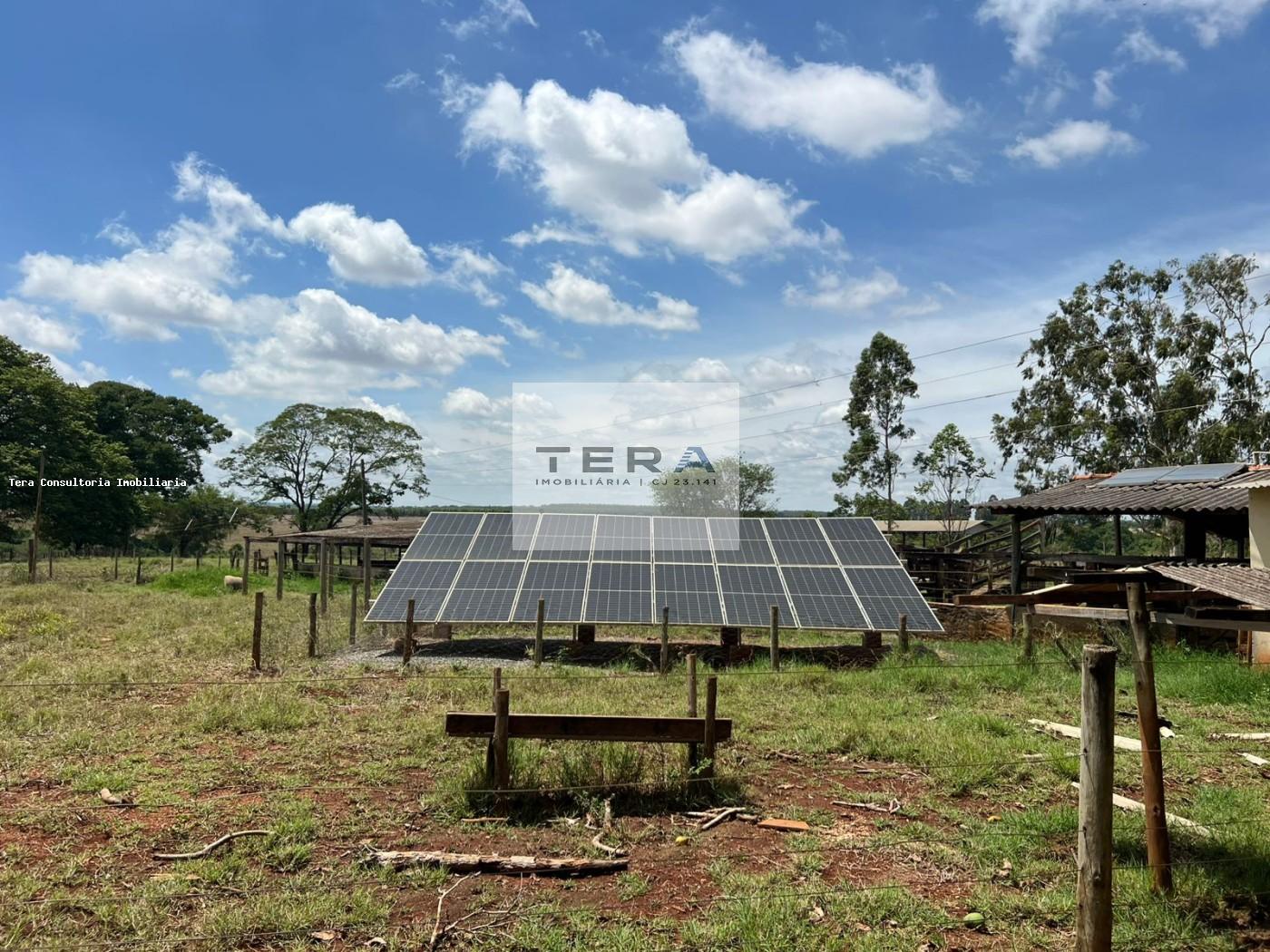 Chácara, 3 hectares - Foto 3