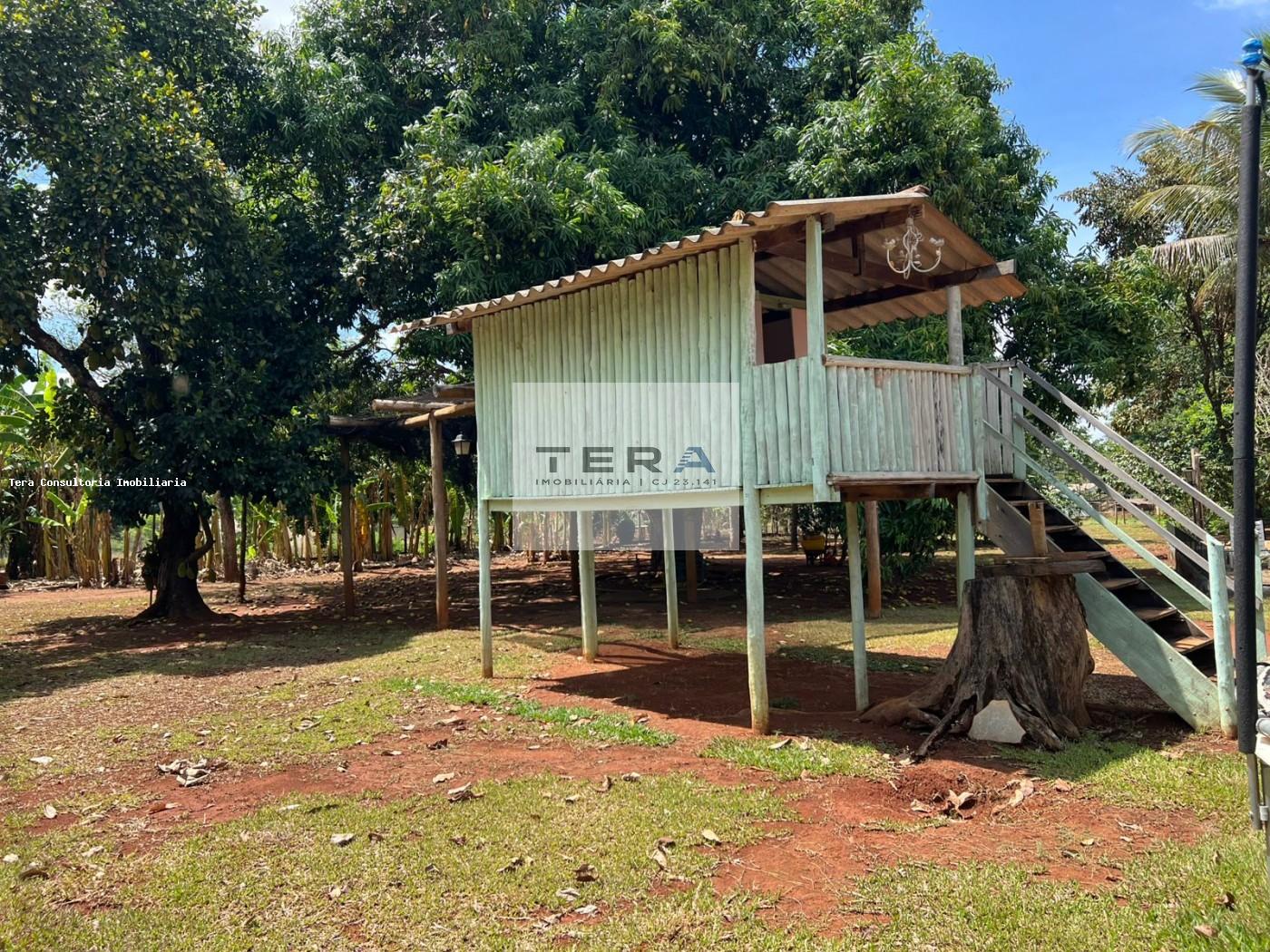 Chácara, 3 hectares - Foto 8